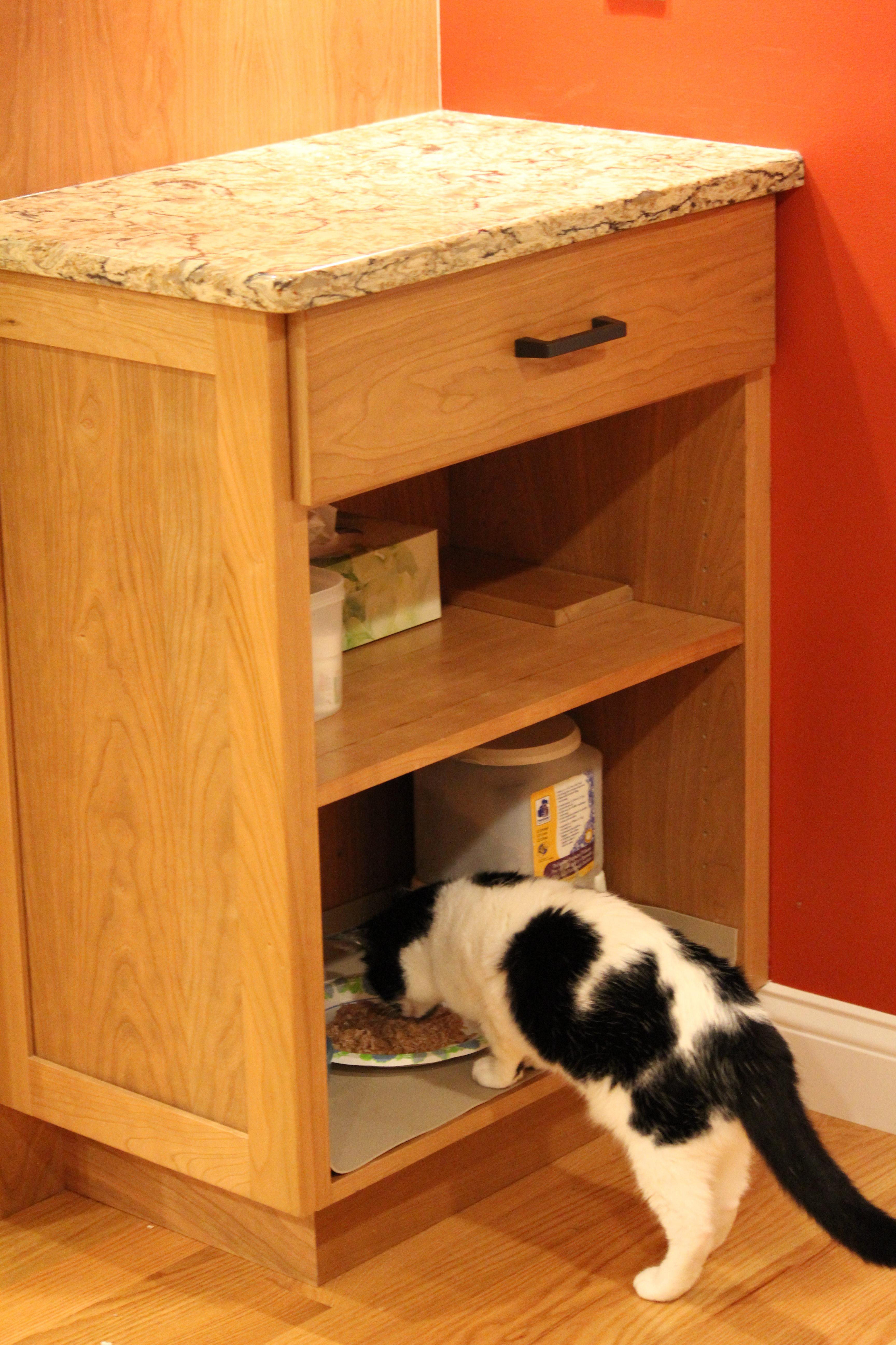 AFTER: EVEN THE CATS HAVE THEIR OWN DINER