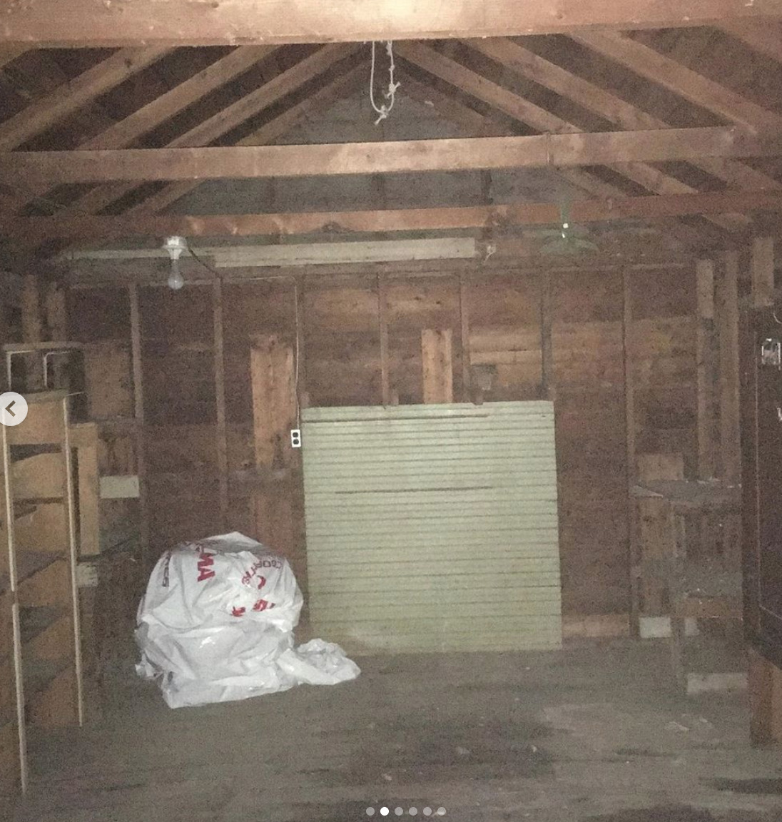 BEFORE: INTERIOR OF SHED