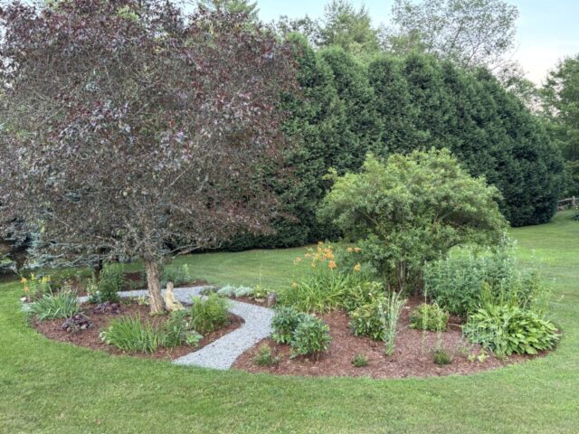 after photo, garden paths, redesigned garden, garden bed, gardening, garden transformation,