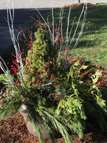 container garden, natural materials, container gardening,