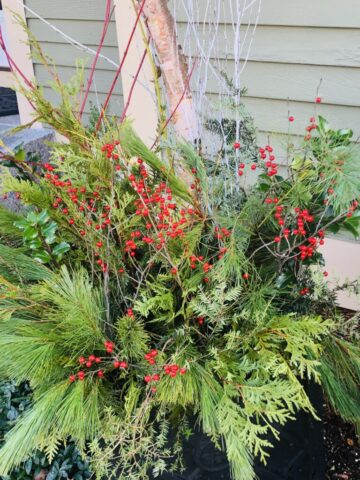 container gardening, materials from nature, natural garden